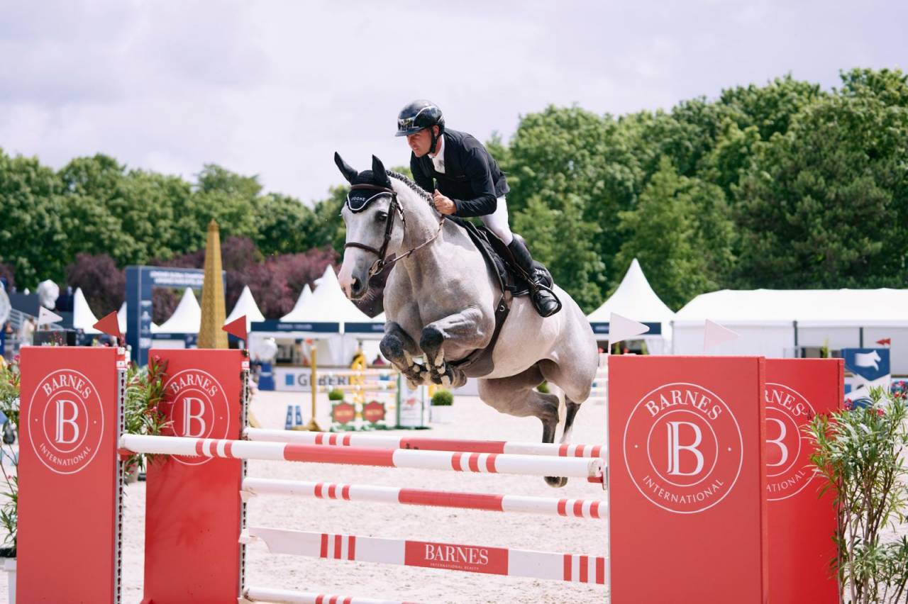 Jument 7 ans, classée 135, très amateur, inarretable 