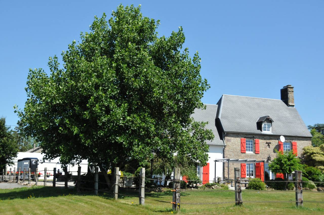 Villa individuelle / Domaine Équestre