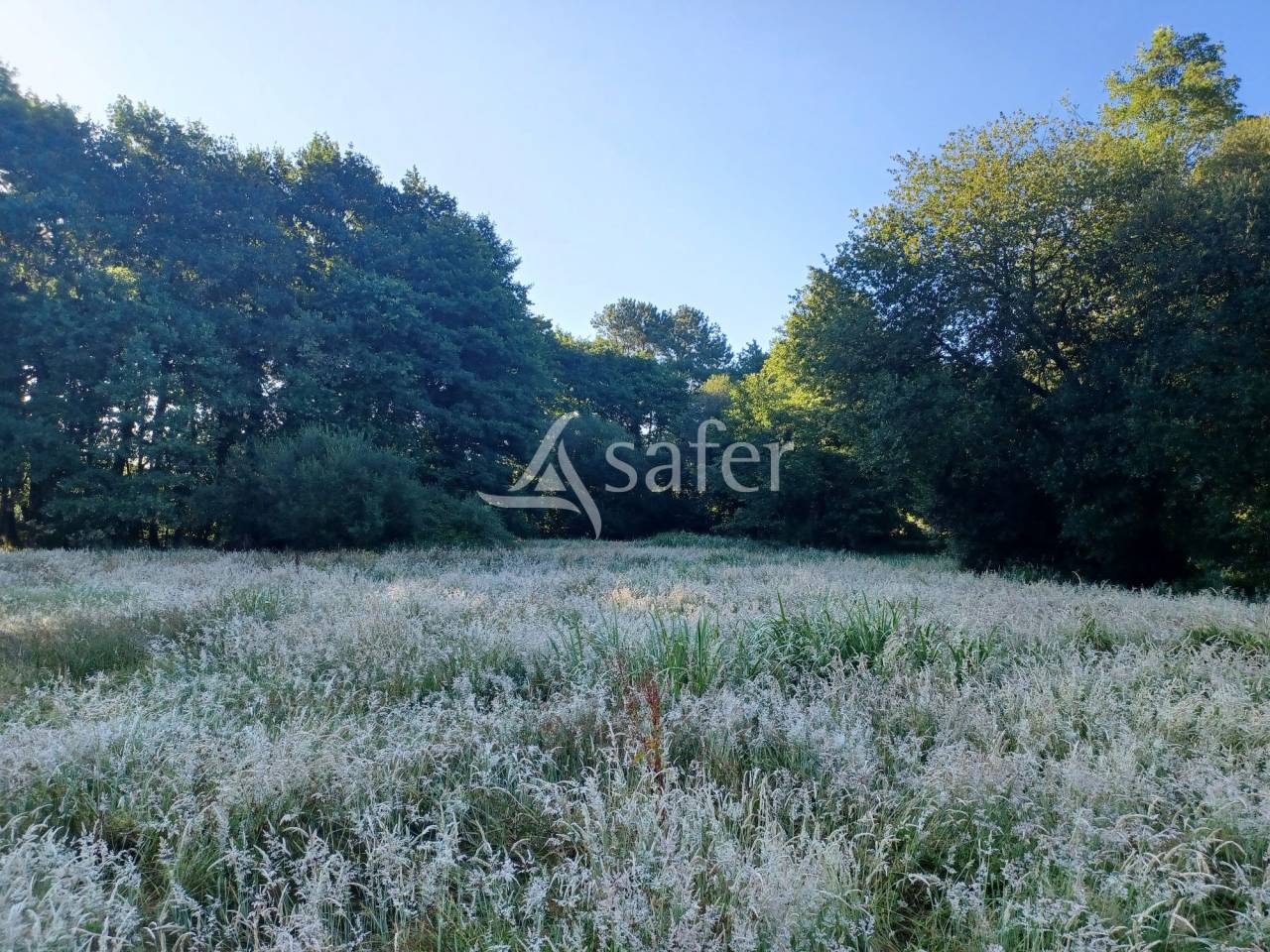 PARCELLES DE PRAIRIES BOISEES A PROXIMITE D'UN RUISSEAU ET COMPR