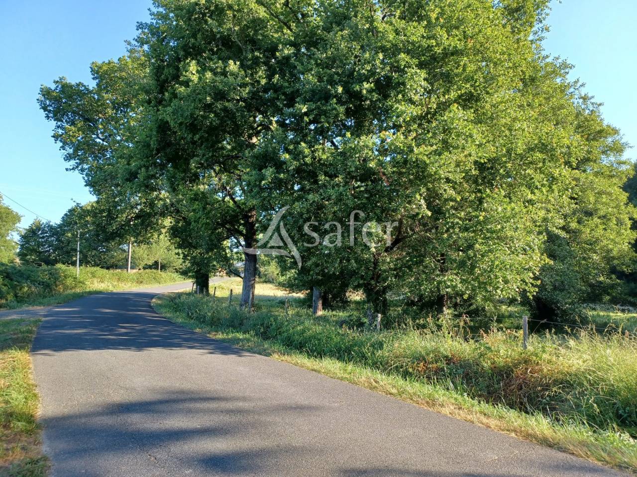 PARCELLES DE PRAIRIES BOISEES A PROXIMITE D'UN RUISSEAU ET COMPR