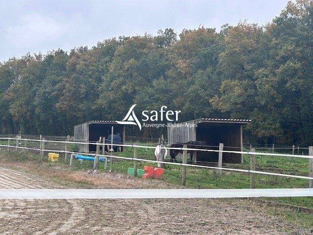 Propriété avec habitation et installations équestres proche R