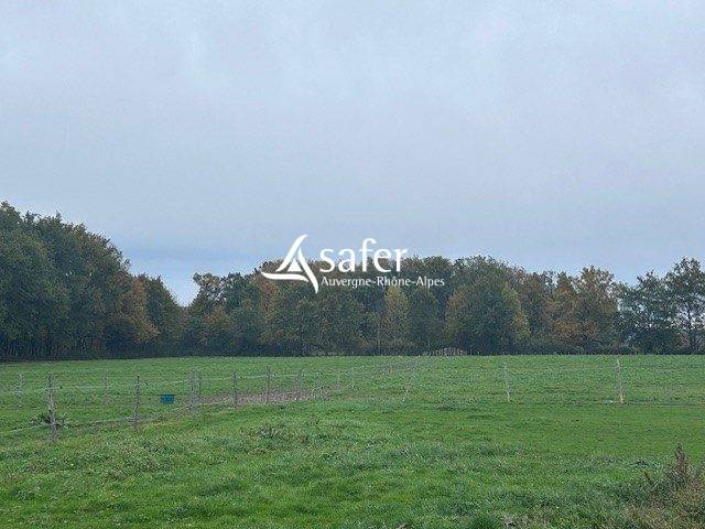 Propriété avec habitation et installations équestres proche R