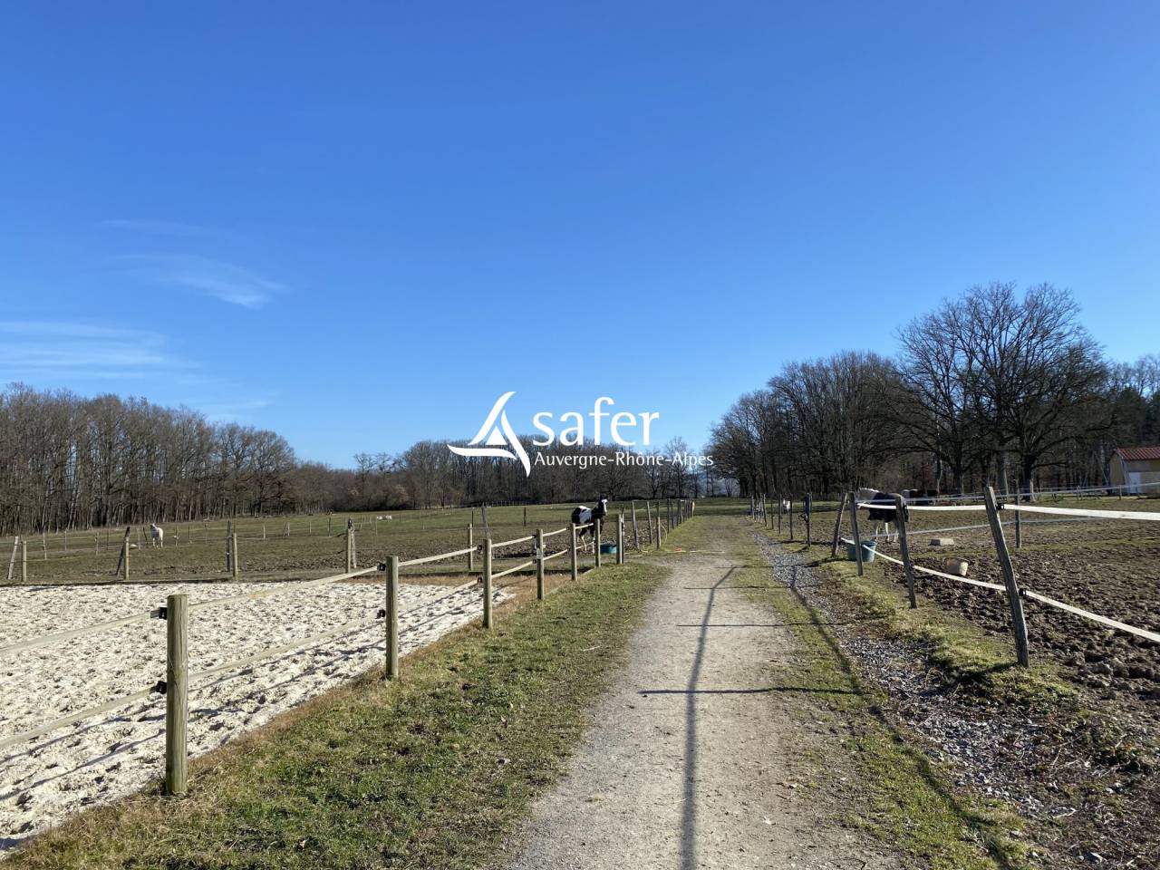 Propriété avec habitation et installations équestres proche R