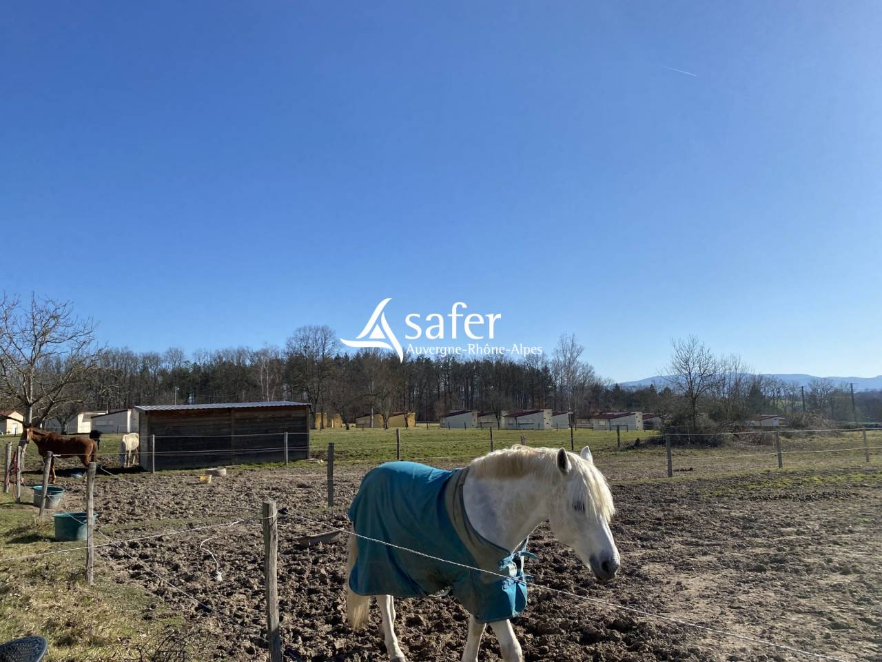 Propriété avec habitation et installations équestres proche R