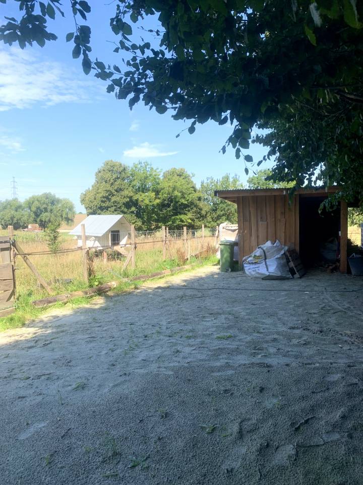 Pension pré, box et paddock 