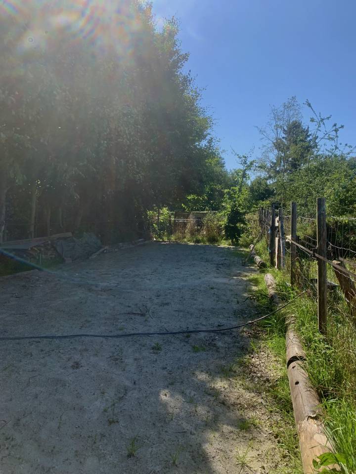 Pension pré, box et paddock 