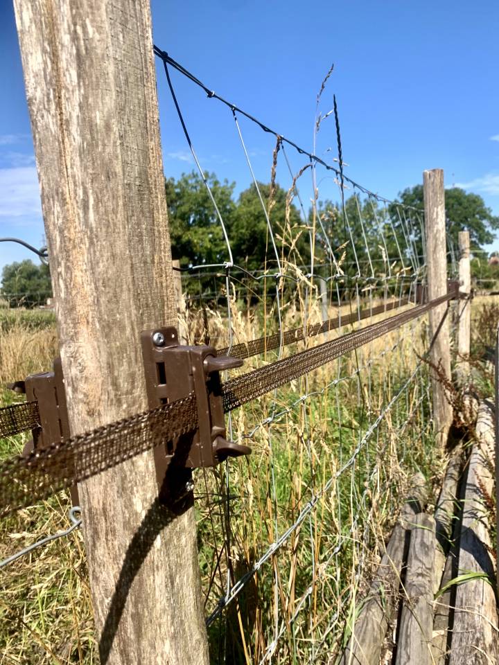 Pension pré, box et paddock 