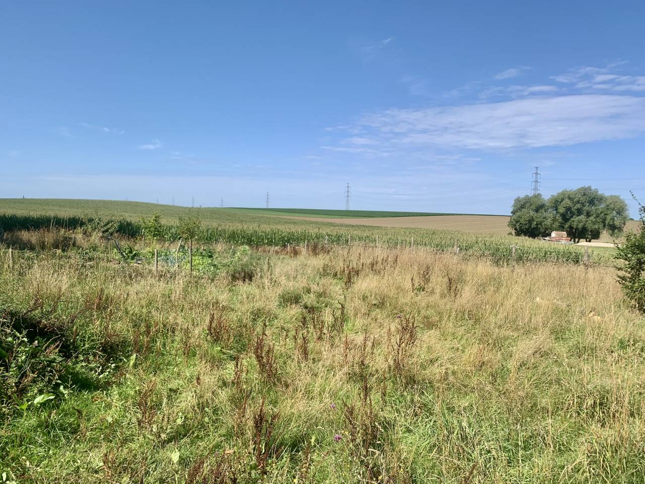 Pension pré, box et paddock 