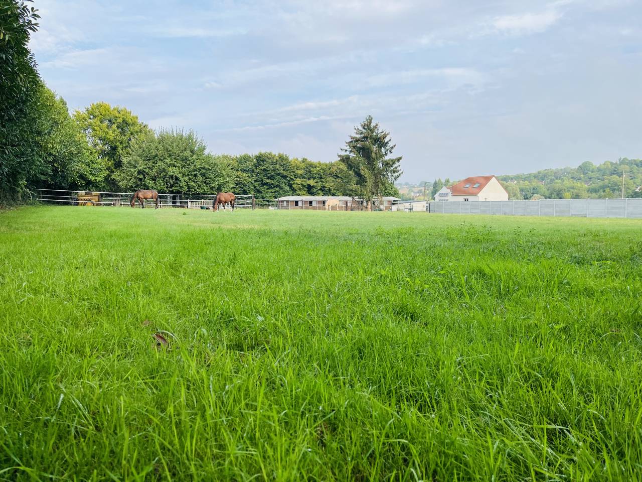 Propriété équestre voulangis 77580