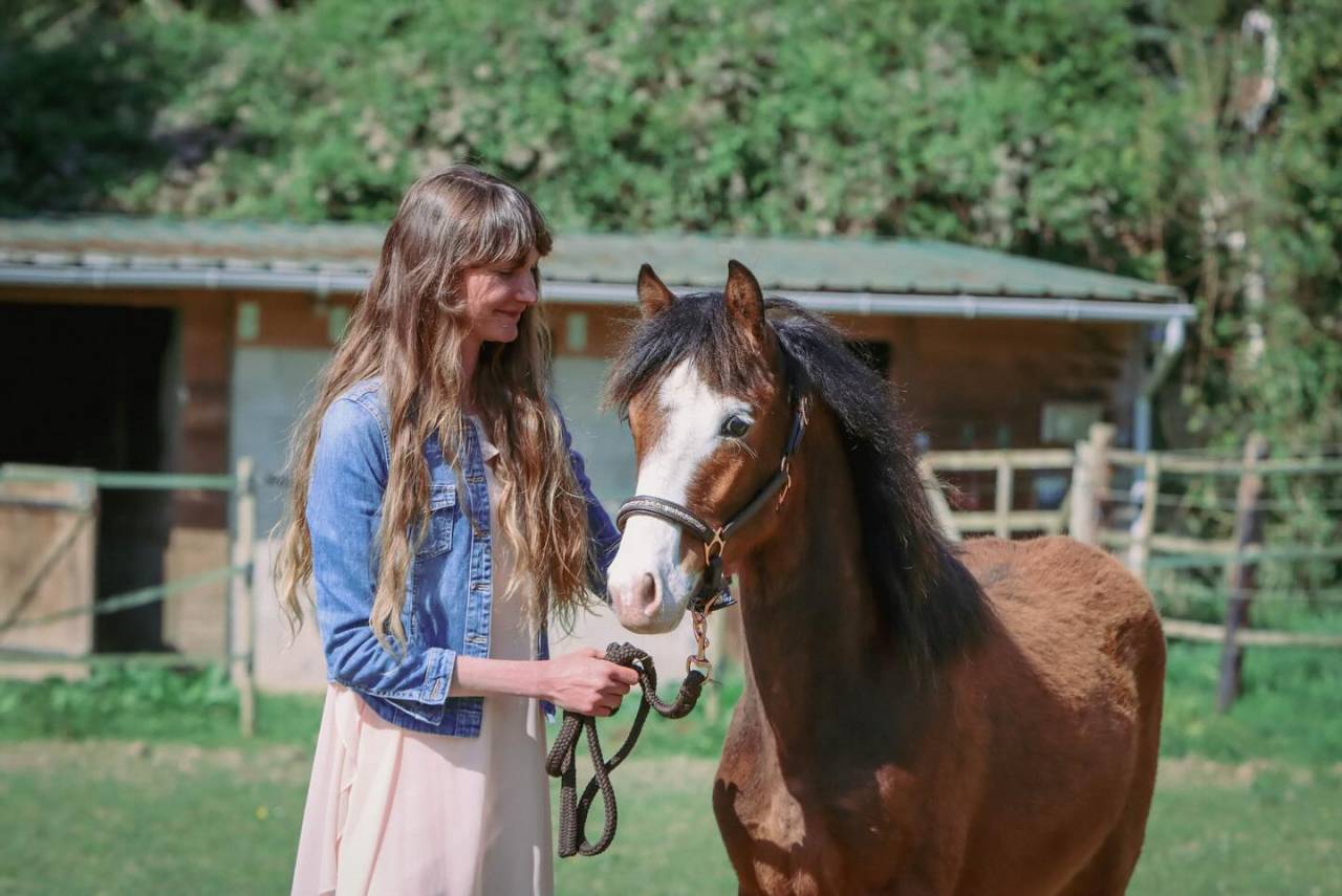 A VENDRE, YEARLING CHAMPION DE FRANCE