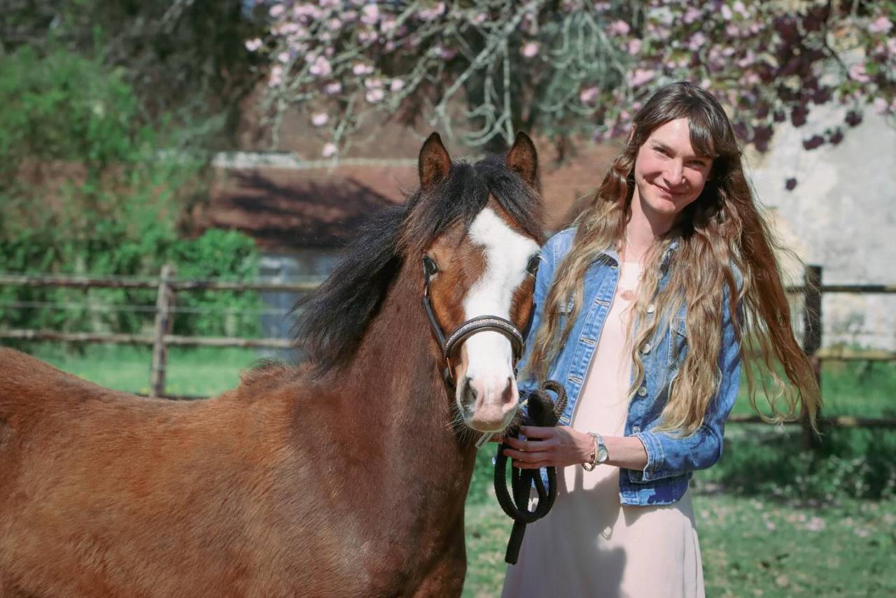 A VENDRE, YEARLING CHAMPION DE FRANCE