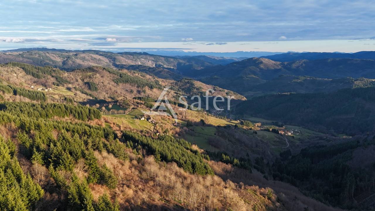 Domaine authentique - Monts d'Ardèche