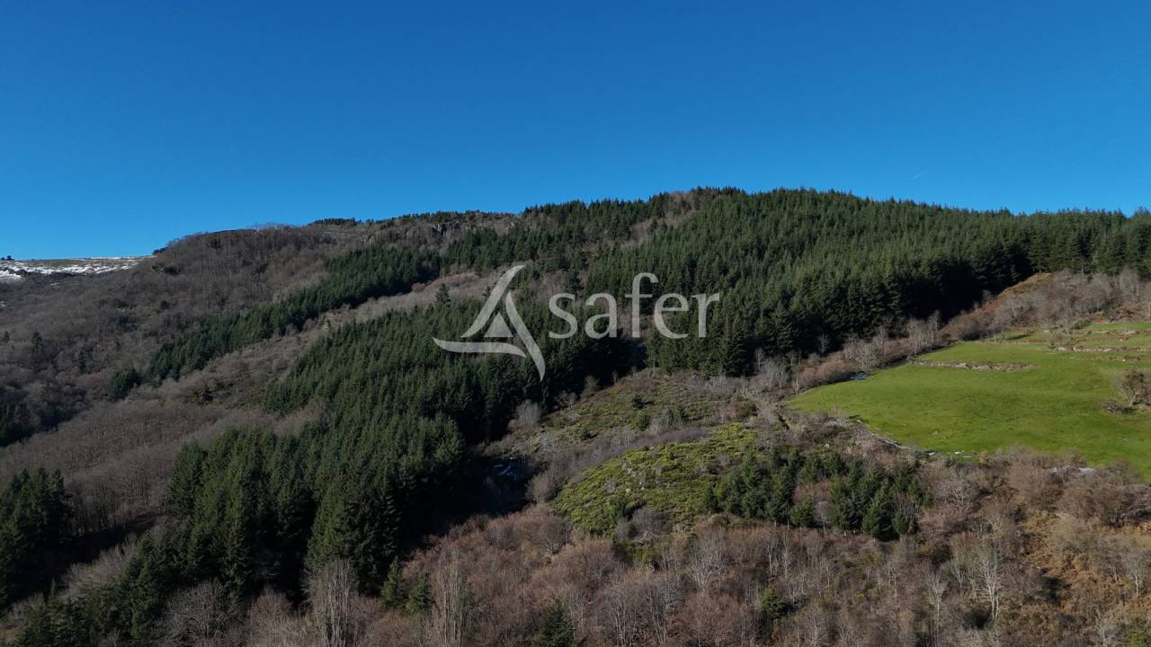 Domaine authentique - Monts d'Ardèche