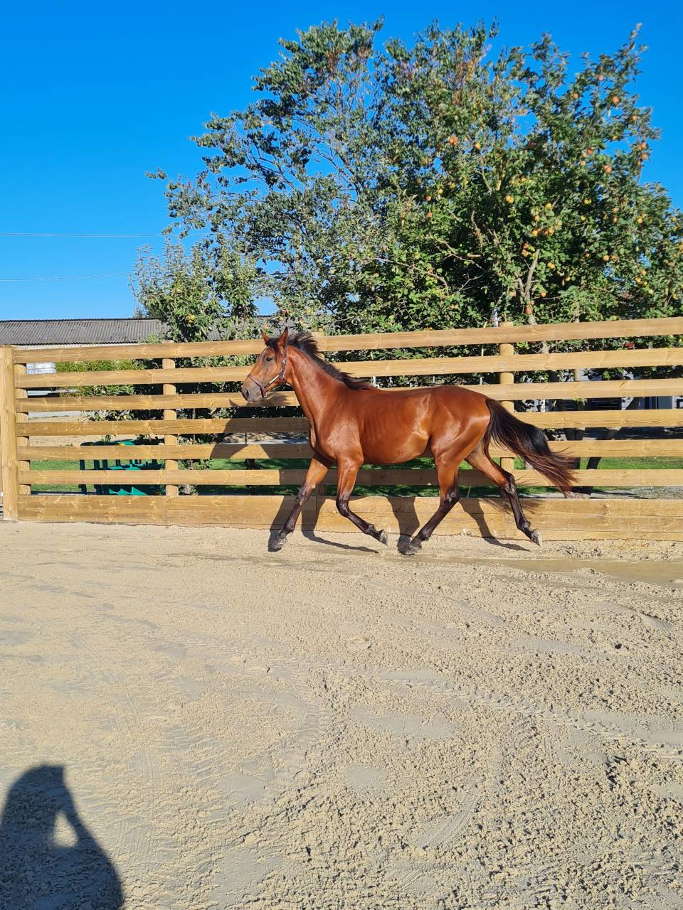 Location rond d havrincourt 