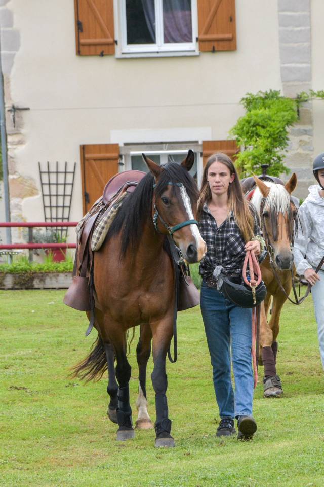 Jument de loisir, randonnée et bétail