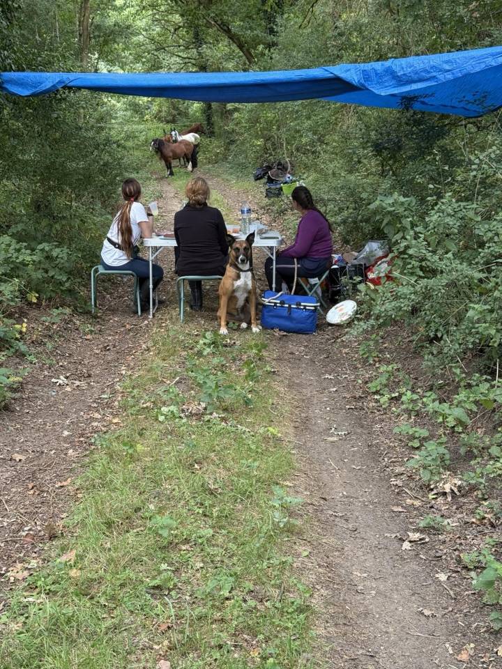 Balades et randonn&eacute;es &agrave; cheval 