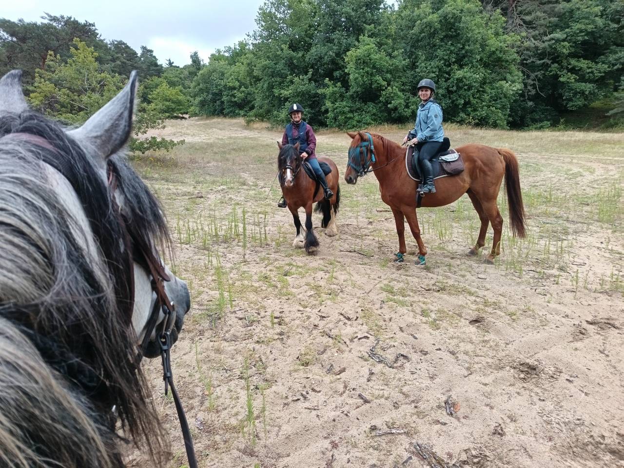 Balades et randonn&eacute;es &agrave; cheval 