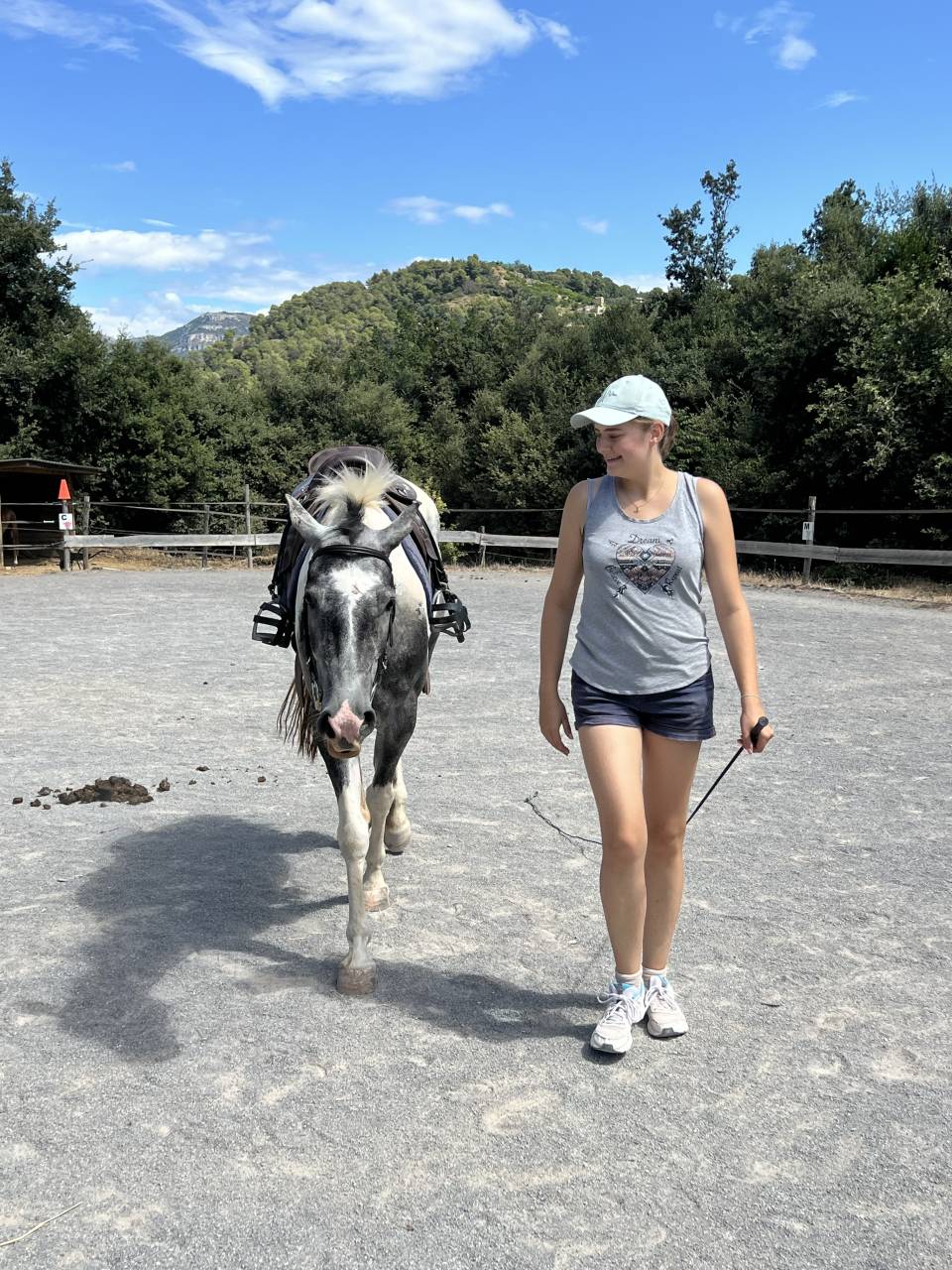 Equitation en Conscience - STAGES ET ACCOMPAGNEMENTS