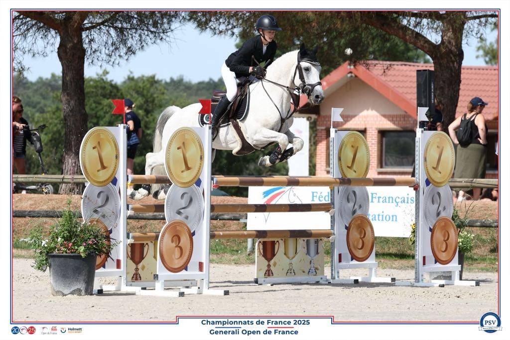 Foal Poney sport origines 4*