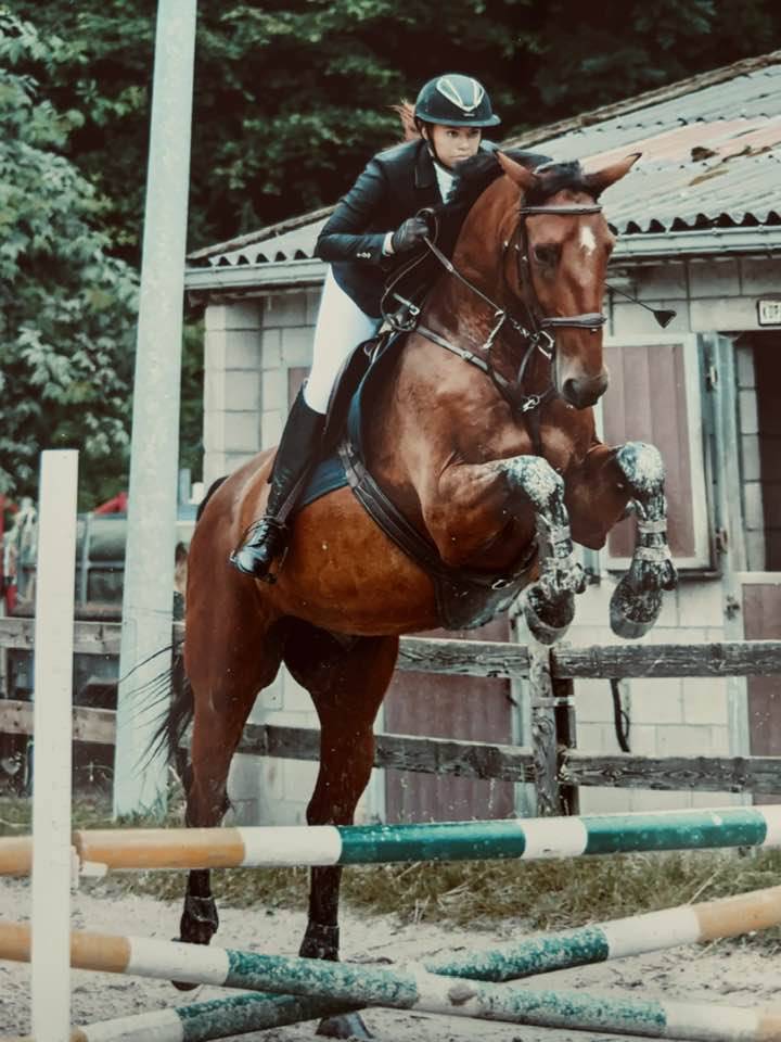 &Agrave; vendre : Samourai du Bois Halleux &ndash; Hongre de 7 ans