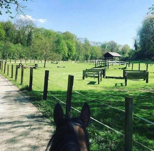 Écurie de propriétaire