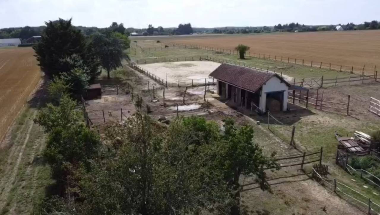Propriété équestre sur 1,7 ha à 10 mn de BLOIS (41)