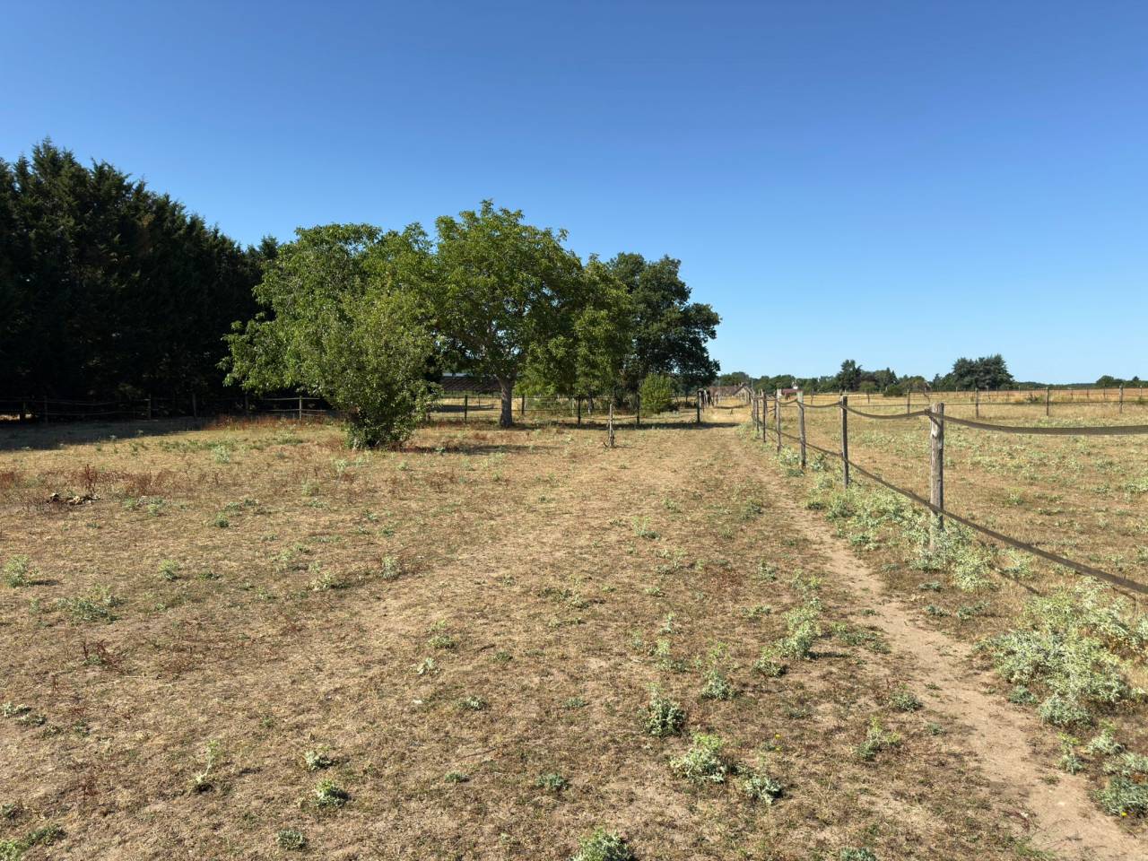 Propriété équestre sur 1,7 ha à 10 mn de BLOIS (41)