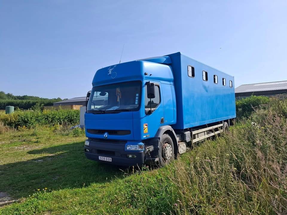 Camion Renault pour 10 chevaux