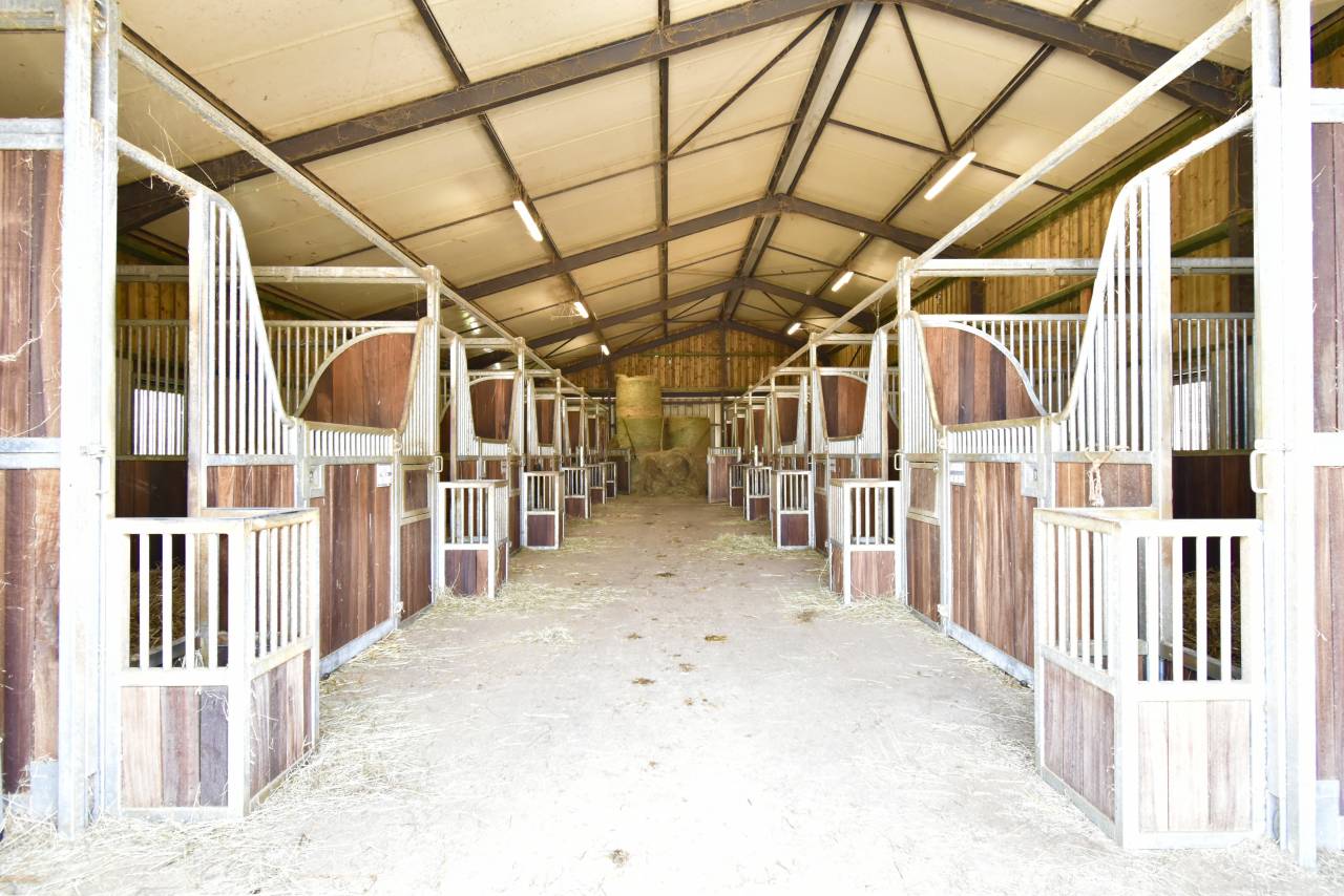 À VENDRE – Centre équestre & Société 