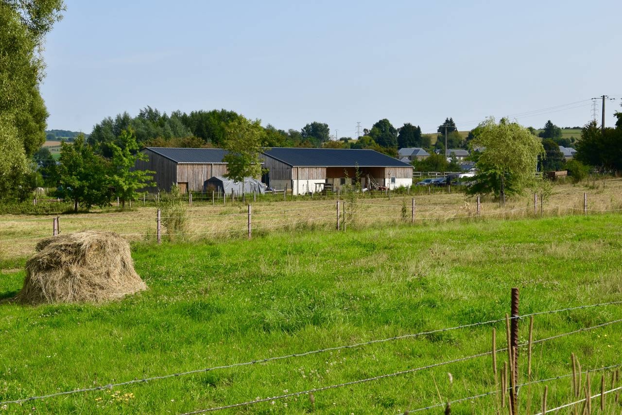 À VENDRE – Centre équestre & Société 