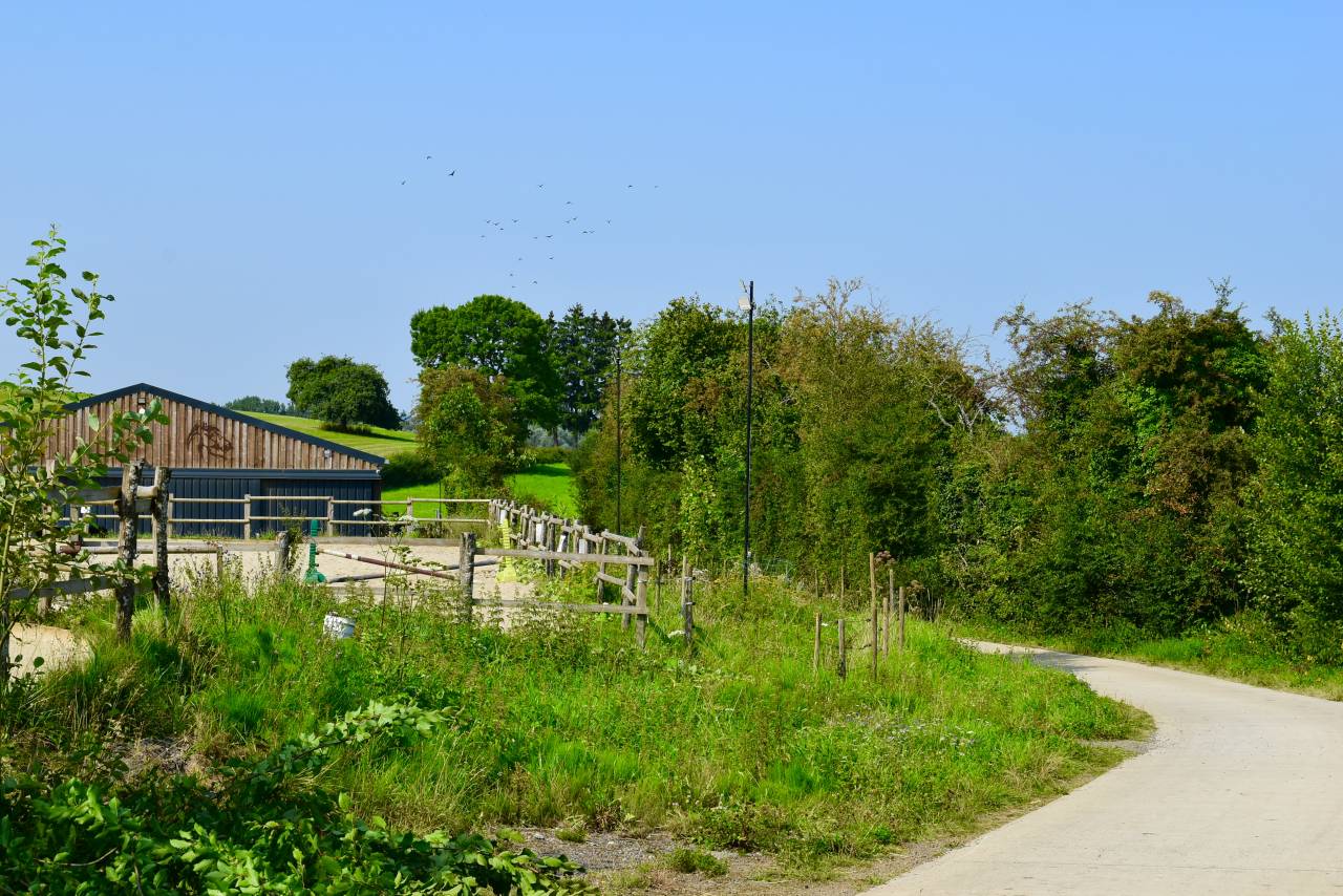 À VENDRE – Centre équestre & Société 