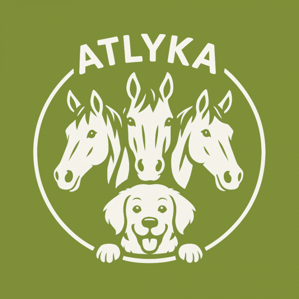 Formation bien &ecirc;tre &eacute;quin - Atlyka