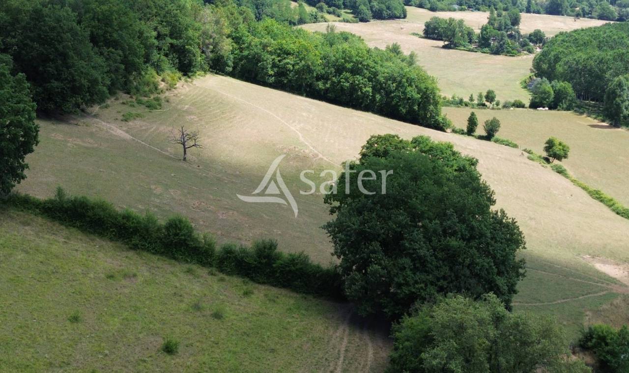 Propriété avec maison et 2 gîtes sur 12ha, sud Dordogne