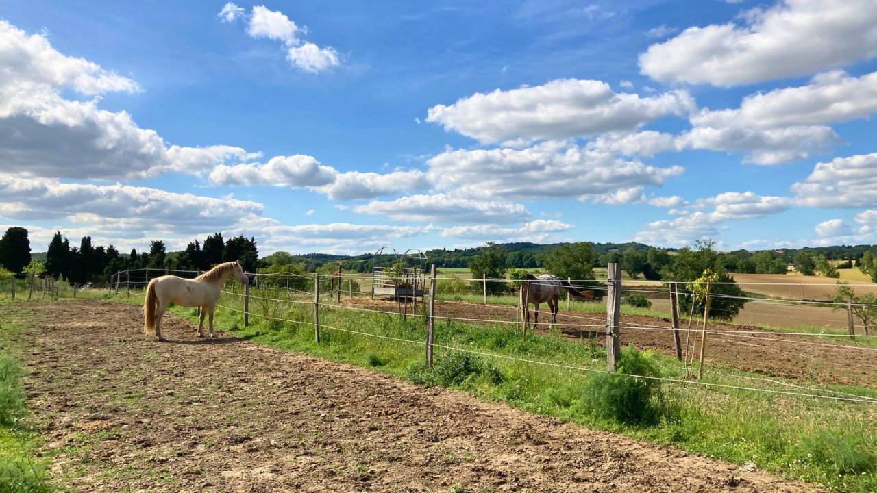 Domaine d’exception au cœur du Lauragais (11)