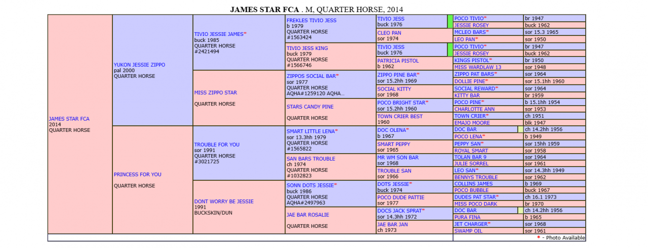 Jument Quarter Horse à vendre 