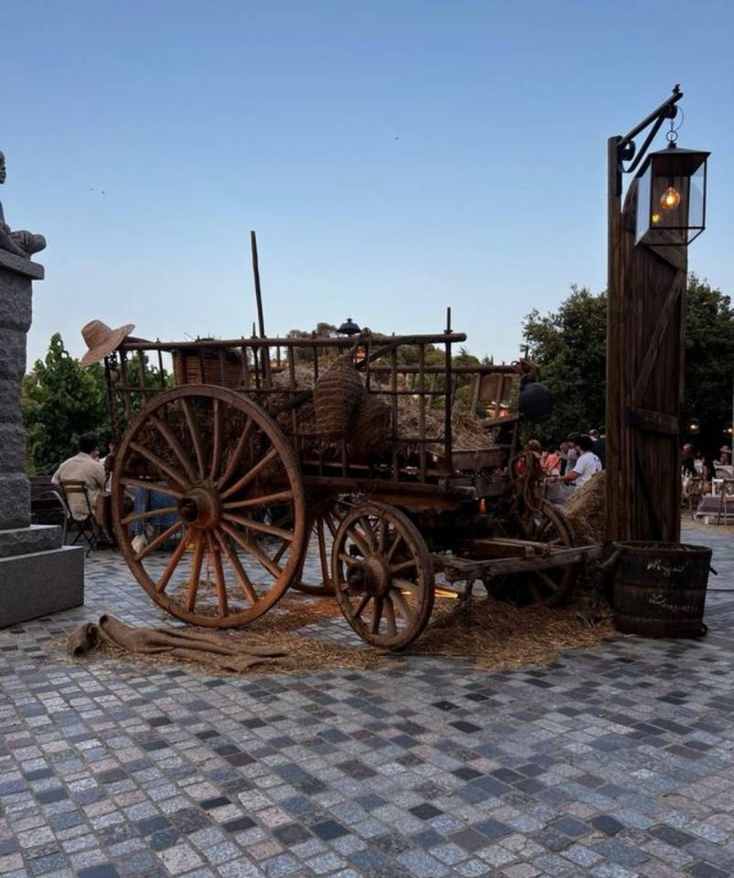 Attelage - Autre attelage   