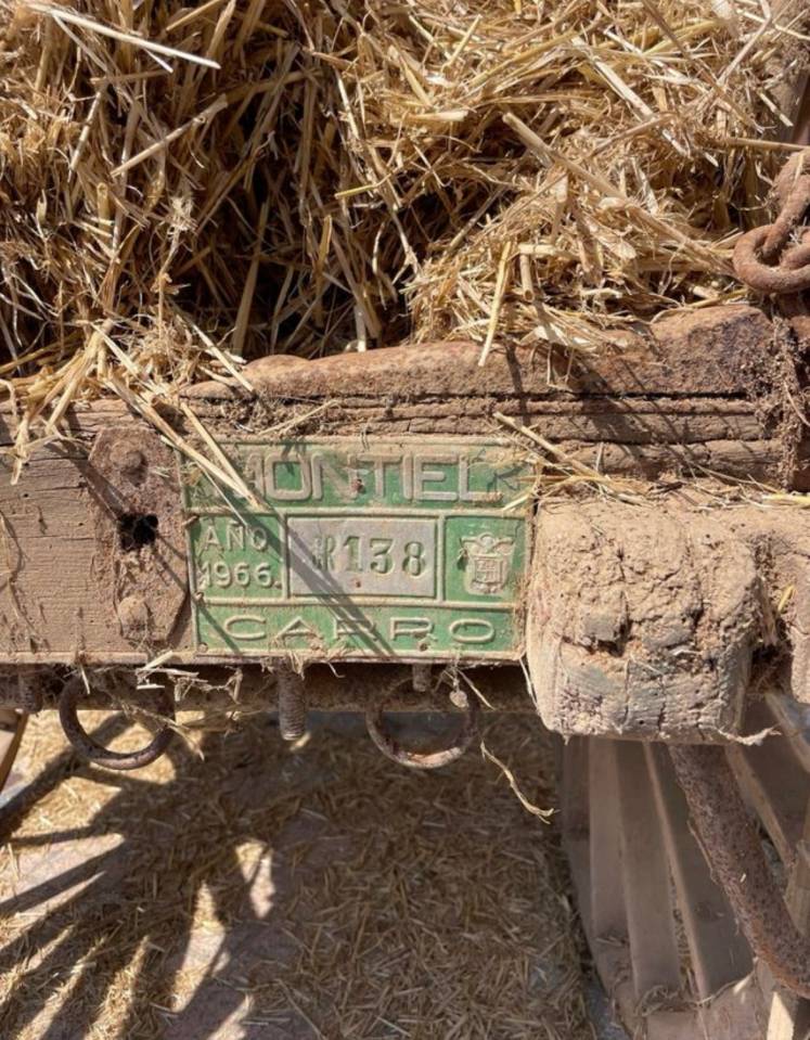 Attelage - Autre attelage   