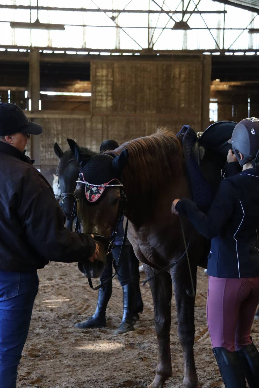 Jument a vendre ❤️