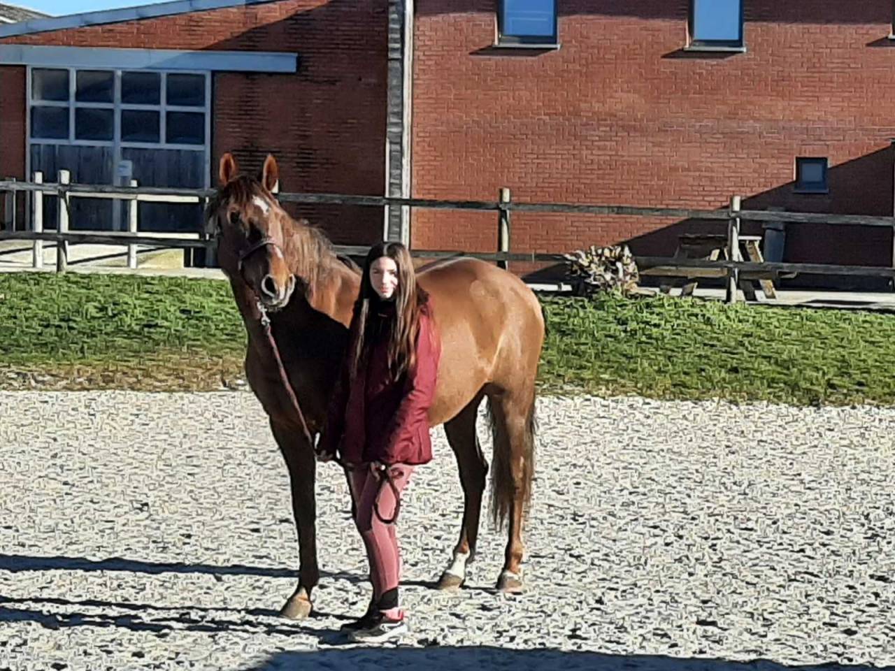 Jument a vendre ❤️