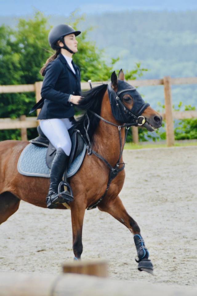 Jolanda de Stichting - Poney à vendre