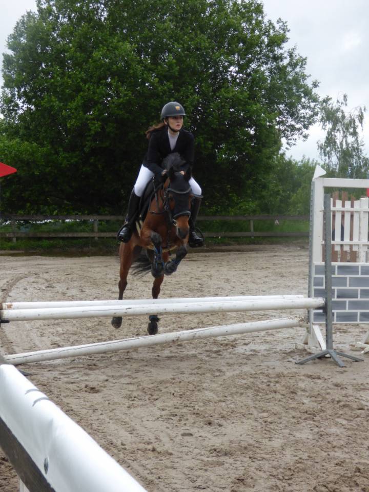 Jolanda de Stichting - Poney à vendre