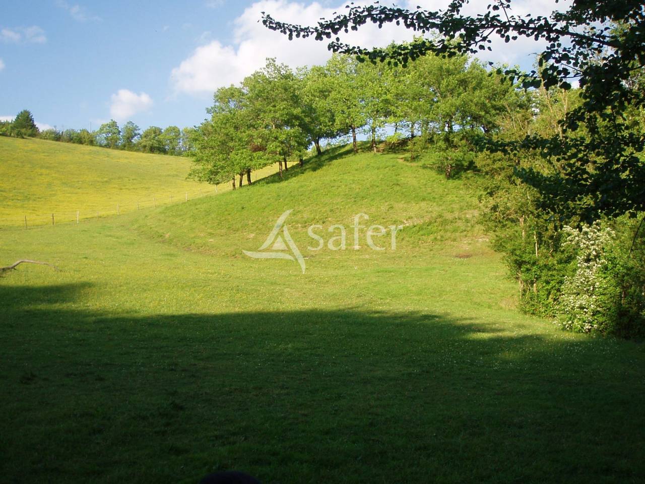 Proche d'Auch - Propriété équine de 5 ha