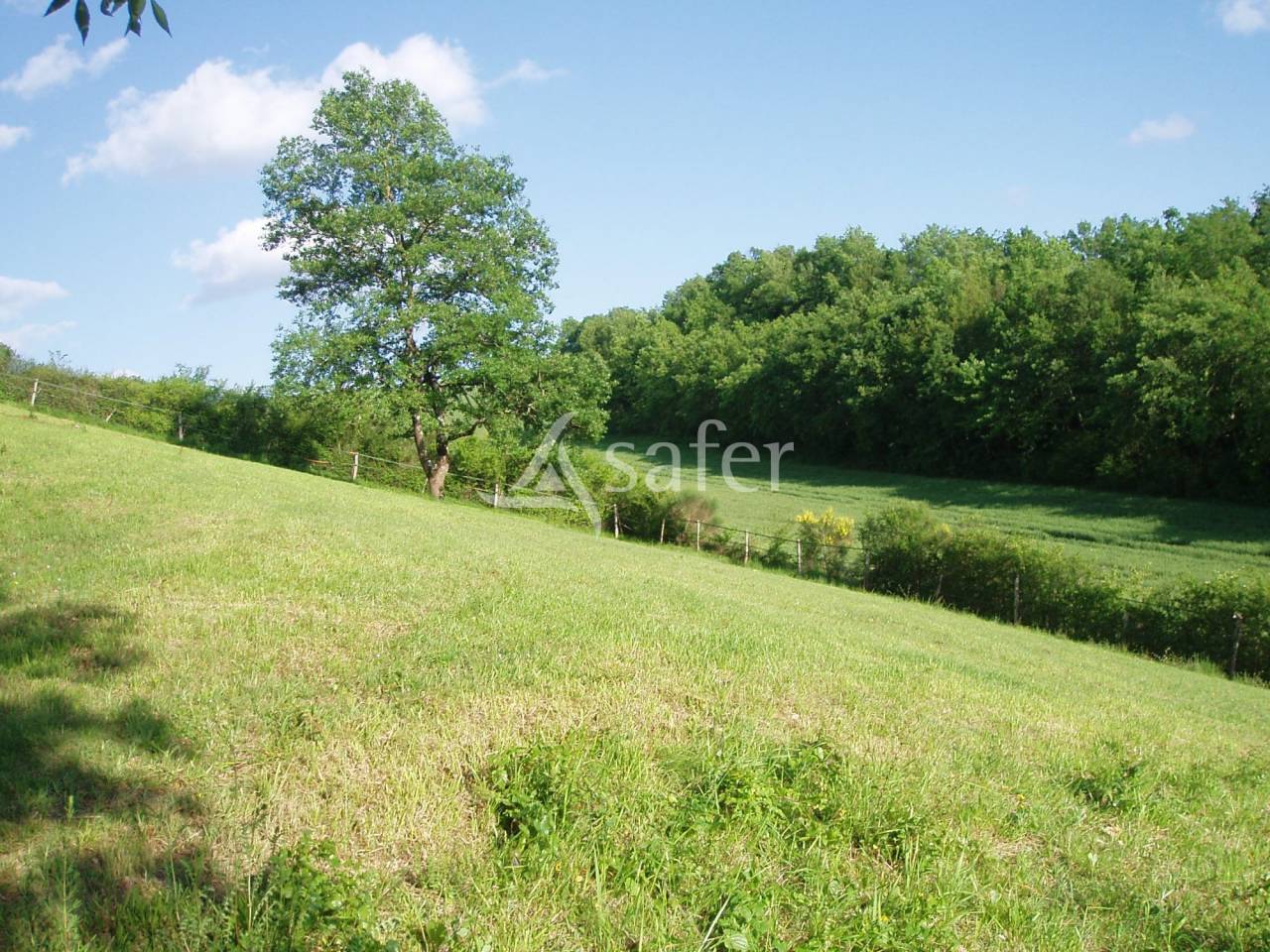 Proche d'Auch - Propriété équine de 5 ha