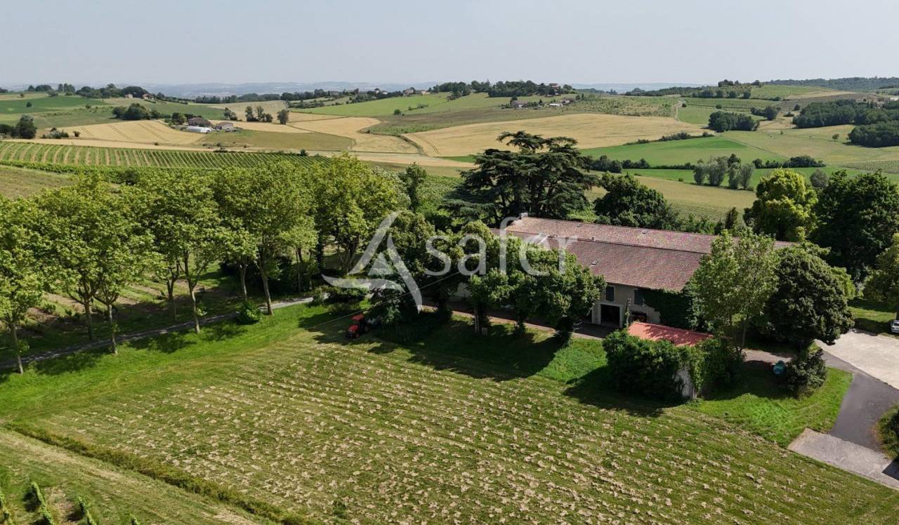 Domaine d'Exception 33ha Triangle d'Or  Potentiel Événe