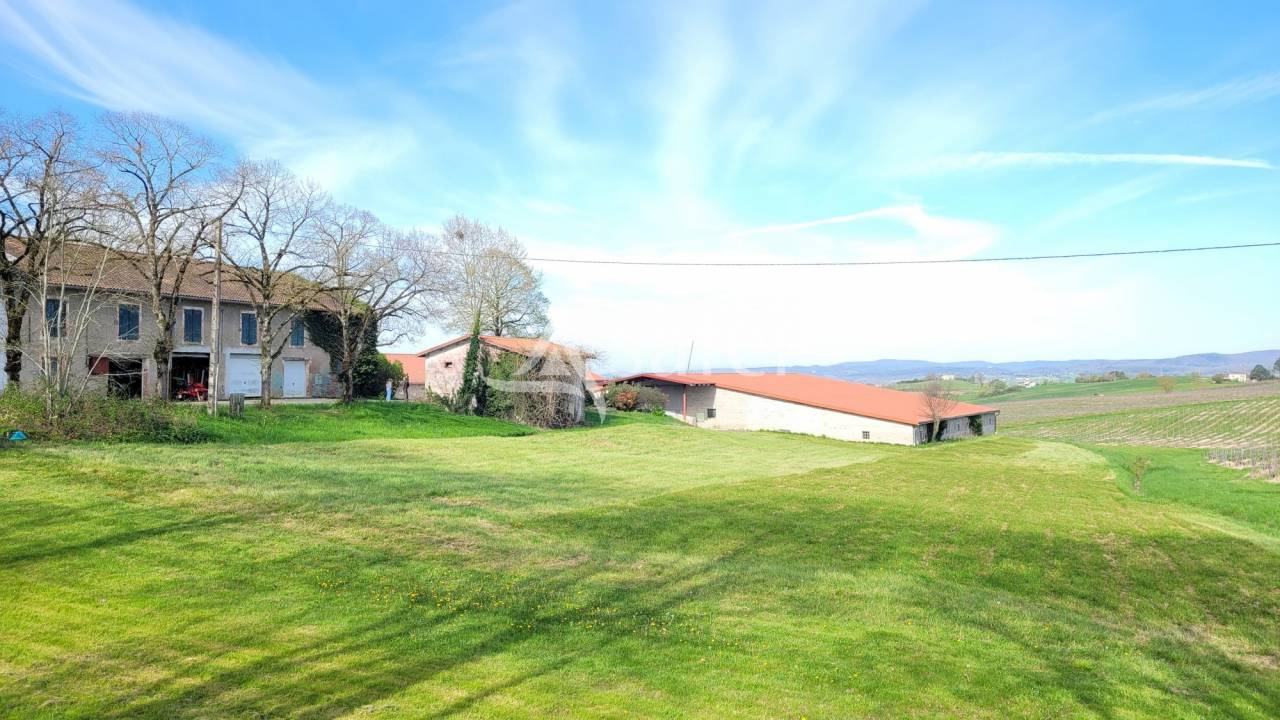 Domaine d'Exception 33ha Triangle d'Or  Potentiel Événe