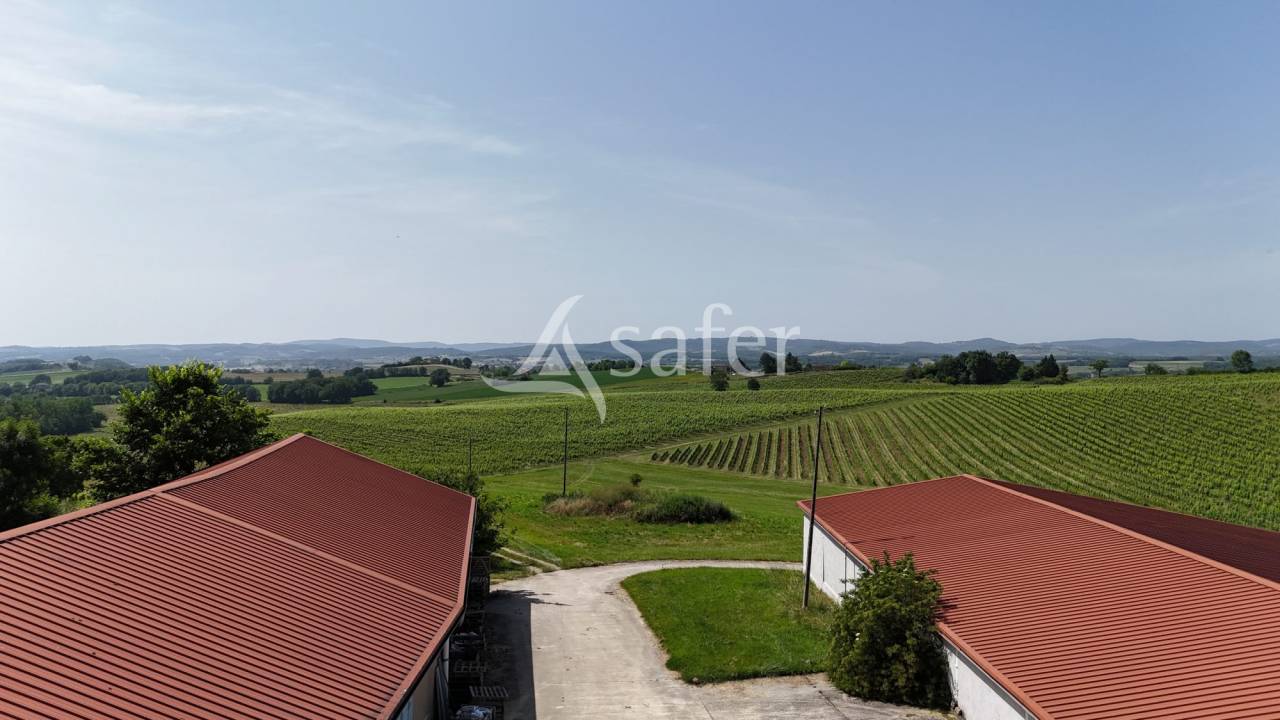 Domaine d'Exception 33ha Triangle d'Or  Potentiel Événe