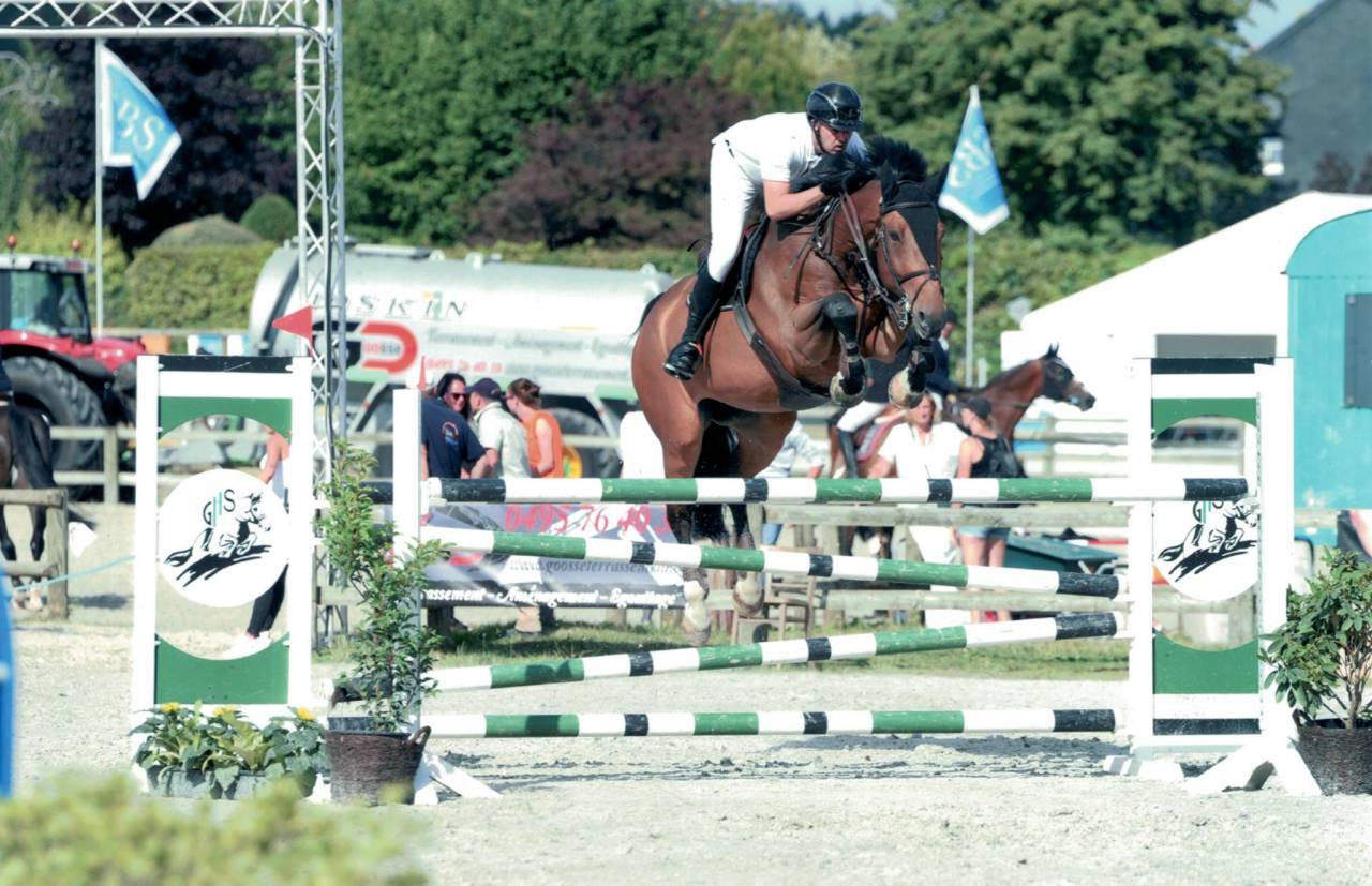 Hongre 13 ans  - SBS - 1M76 - CSO 125/135 