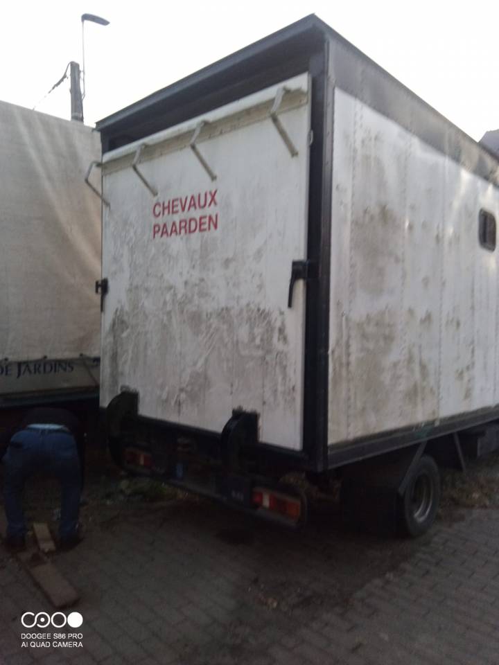 DAF 400 de 1990 pour le transport des chevaux : 3.000 €