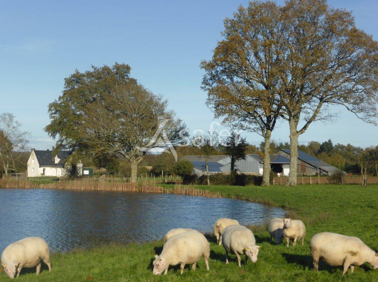 Ferme d'&eacute;levage, ferme des possibles