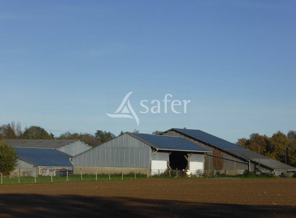 Ferme d'&eacute;levage, ferme des possibles